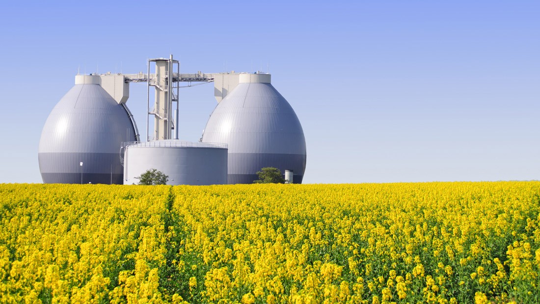 Výroba bioplynu: Mrva s trojnásobným využitím